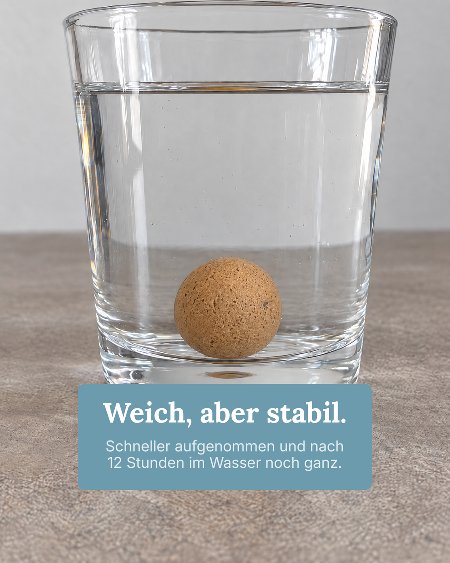 Scopex-Boilie im Wasserglas