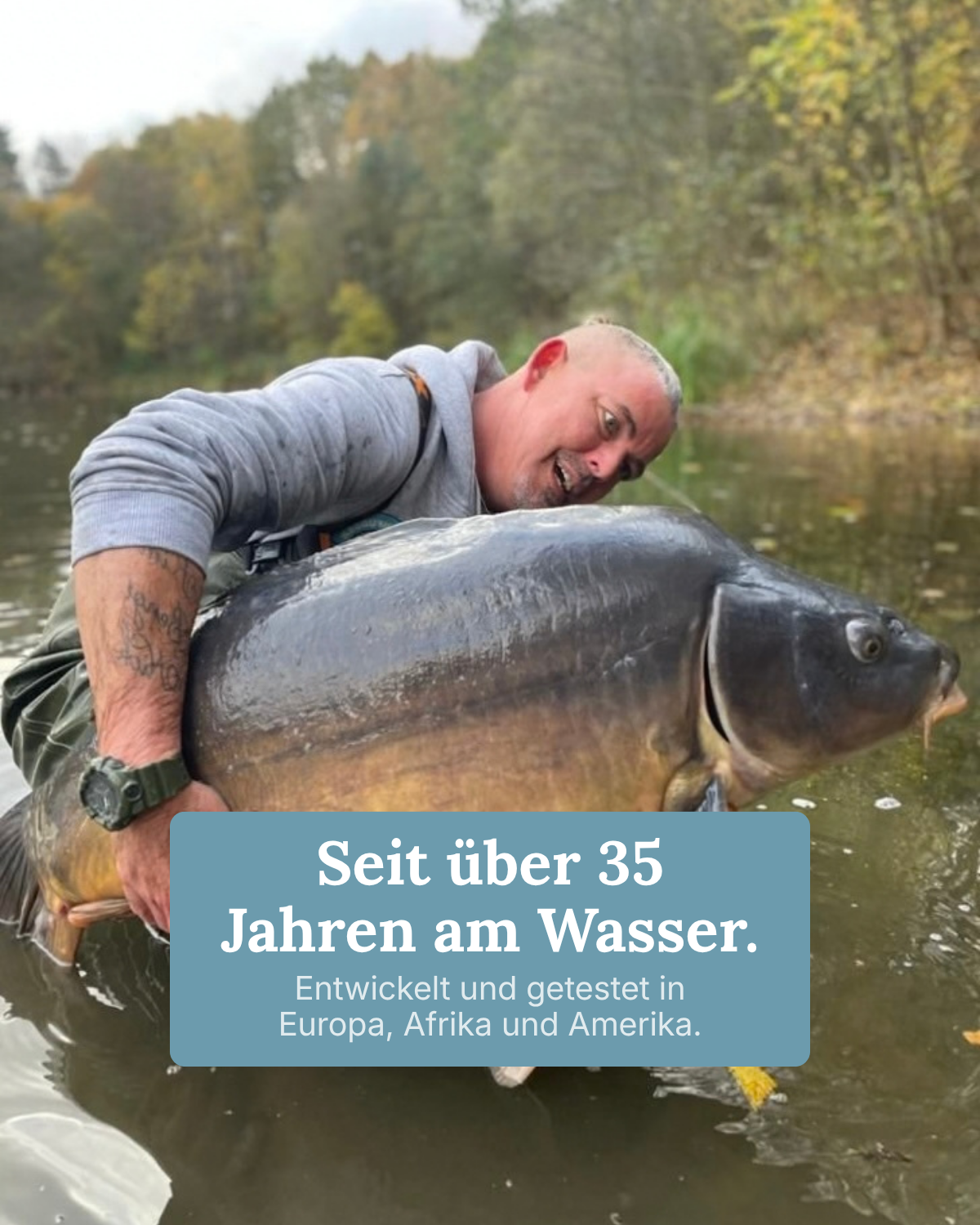 Meik Pyka mit einem großen Spiegelkarpfen im Wasser